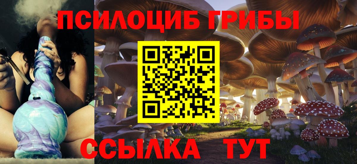Псилоцибиновые грибы GOLDEN TEACHER Лосино-Петровский