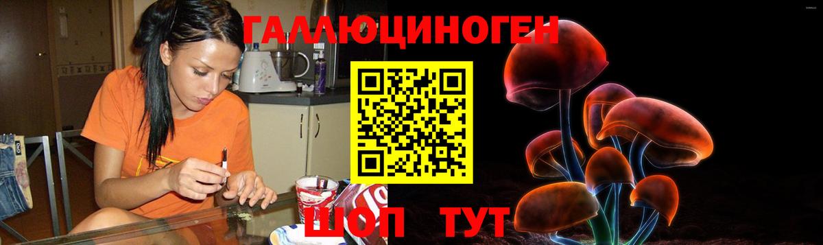 Галлюциногенные грибы Psilocybe  Галлюциногенные грибы GOLDEN TEACHER  даркнет сайт  Лосино-Петровский  Вход с VPN 